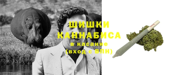 хмурый Пестово