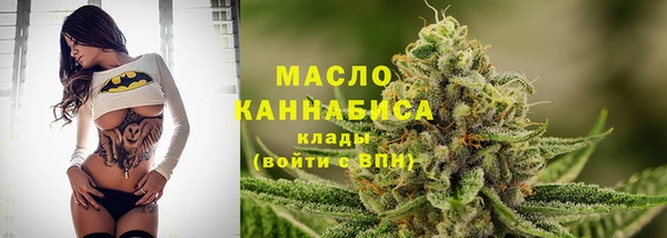 СК Пересвет
