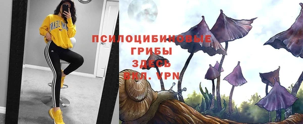 прущие крисы Алексин